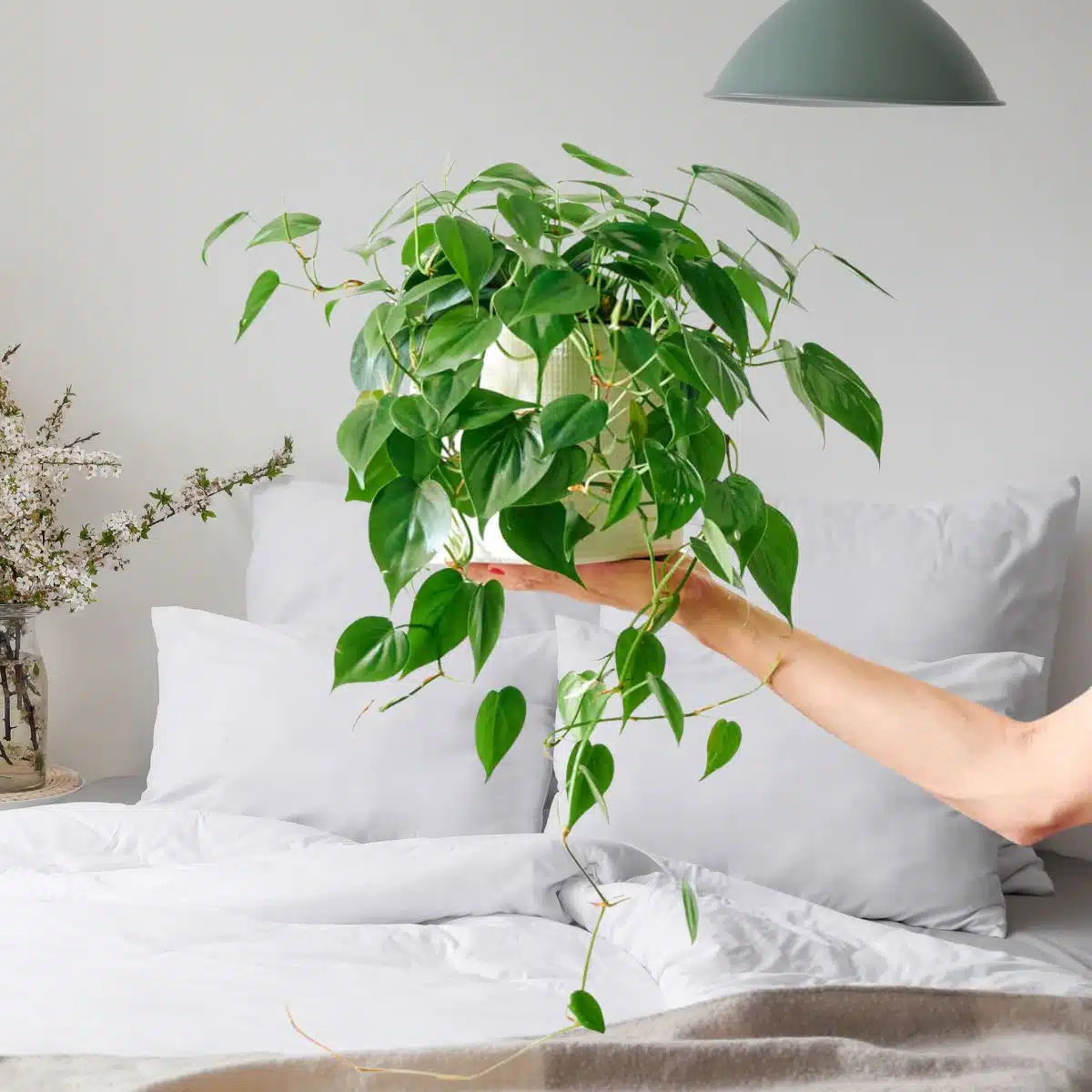 Cải thiện phong thủy cho phòng ngủ không có cửa sổ Cải thiện phong thủy cho phòng ngủ không có cửa sổ