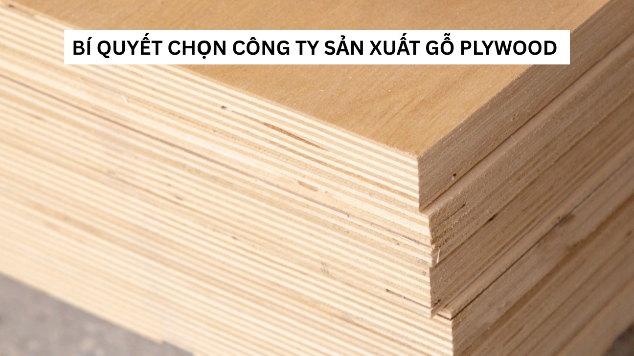 Bí quyết chọn công ty sản xuất ván ép Plywood 