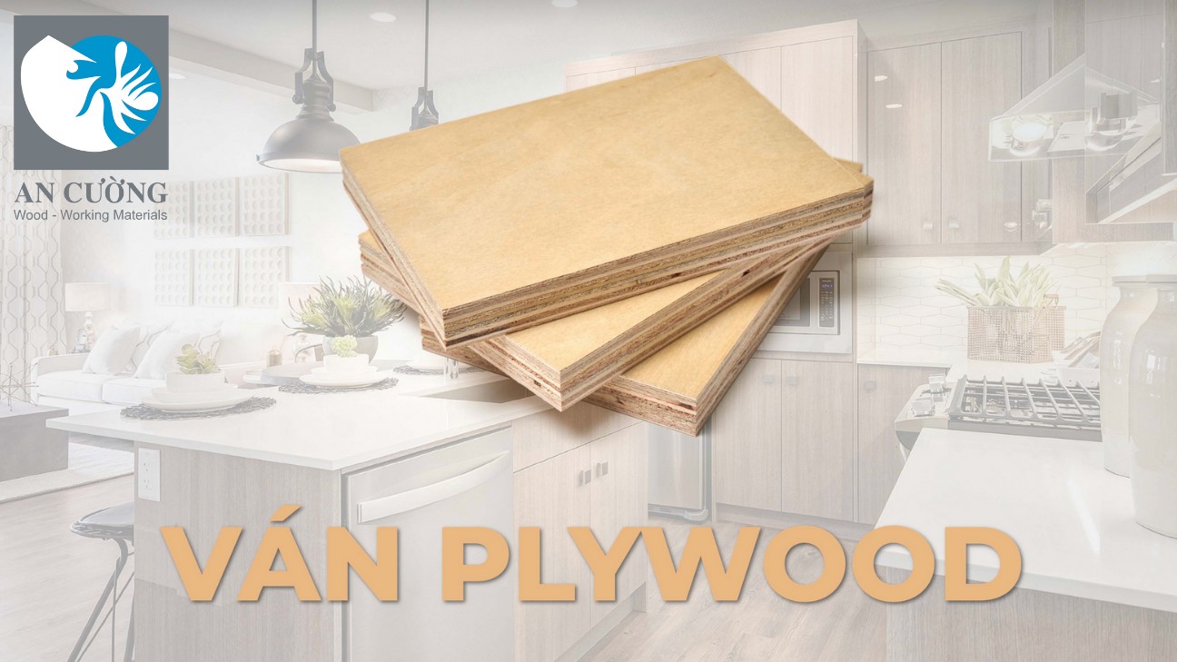 Gỗ Plywood An Cường - Nâng tầm giá trị