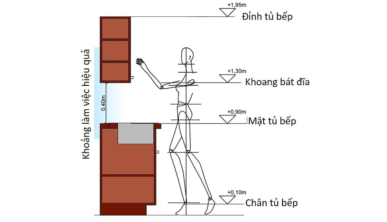 Mối tương quan giữa chiều cao người dùng và kích thước tủ bếp