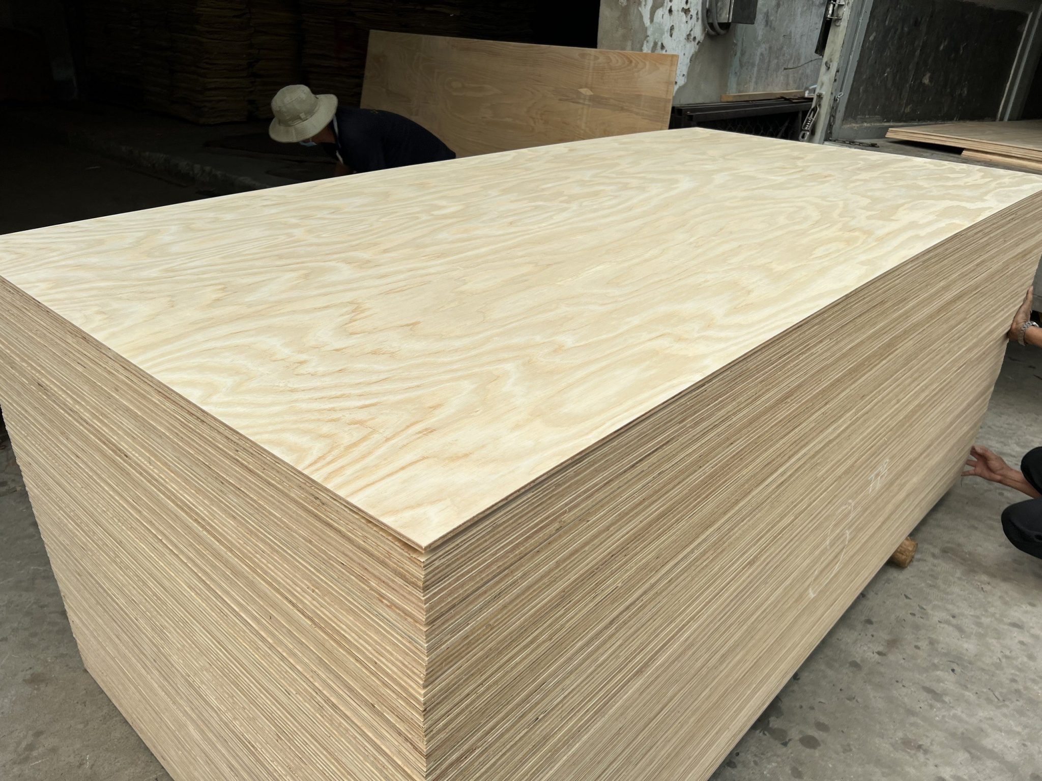 Mua ván plywood chống nước ở đâu uy tín Mua ván plywood chống nước ở đâu uy tín