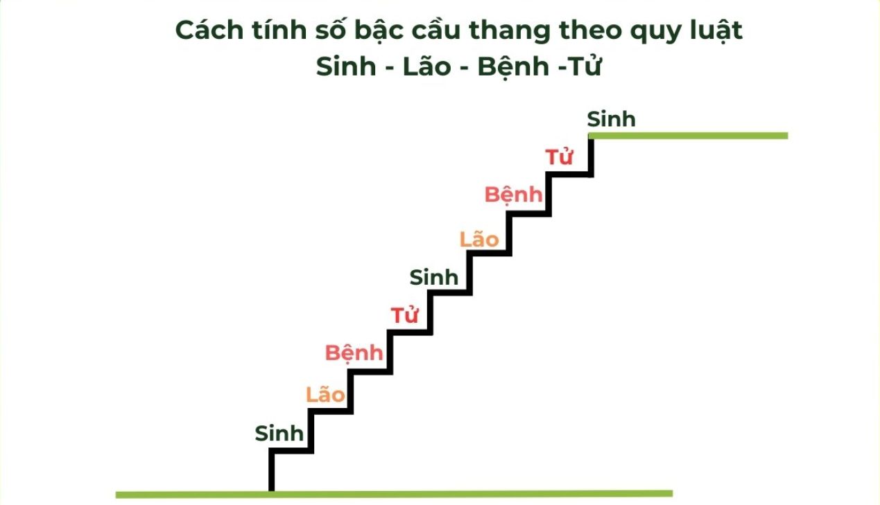 Tính bậc thang theo quy luật Sinh Lão Bệnh Tử