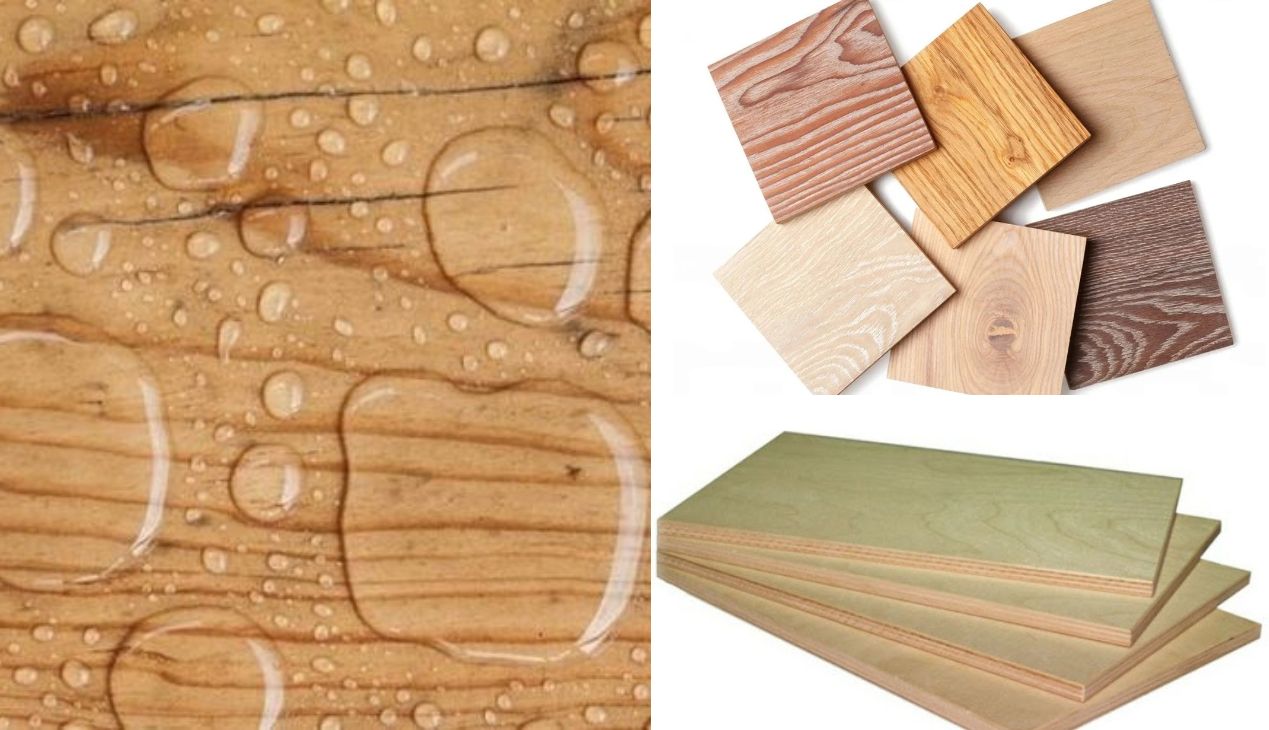 Ván plywood chống nước là gì Ván plywood chống nước là gì