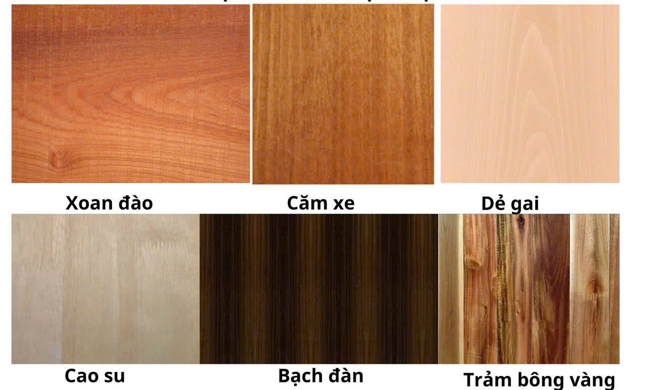 Bảng màu gỗ veneer thông dụng Bảng màu gỗ veneer thông dụng