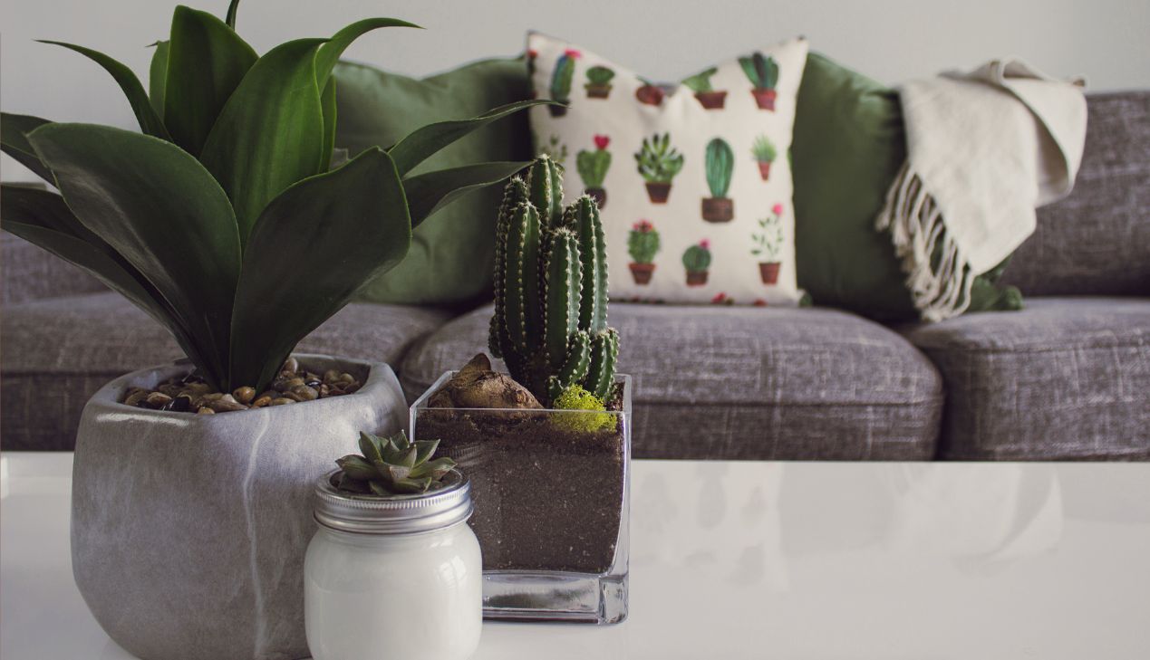 Ghế sofa gỗ cho người yêu thích thiên nhiên