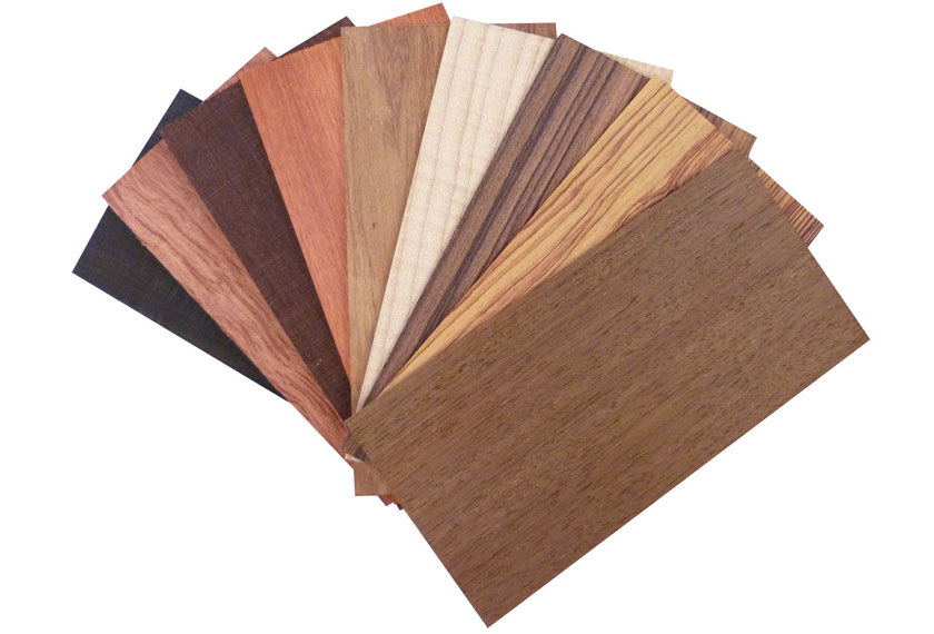 Mẫu bảng màu ván gỗ veneer Mẫu bảng màu ván gỗ veneer