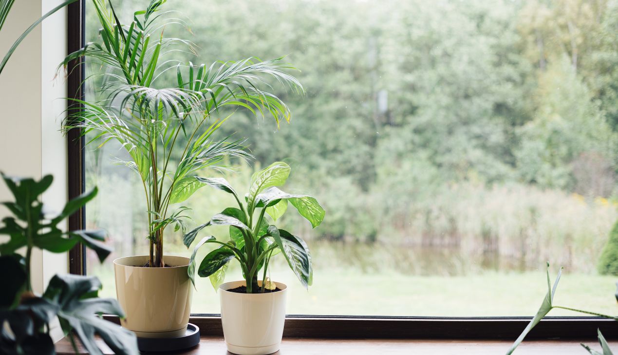 Vật liệu thân thiện với môi trường