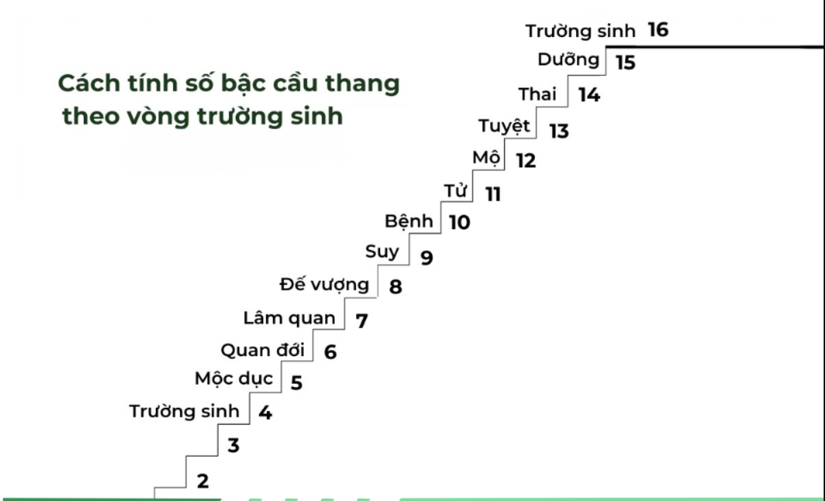 Cách Tính Bậc Cầu Thang Theo Phong Thủy Chuẩn Nhất 2025 4 Bậc cầu thang theo vòng trường sinh